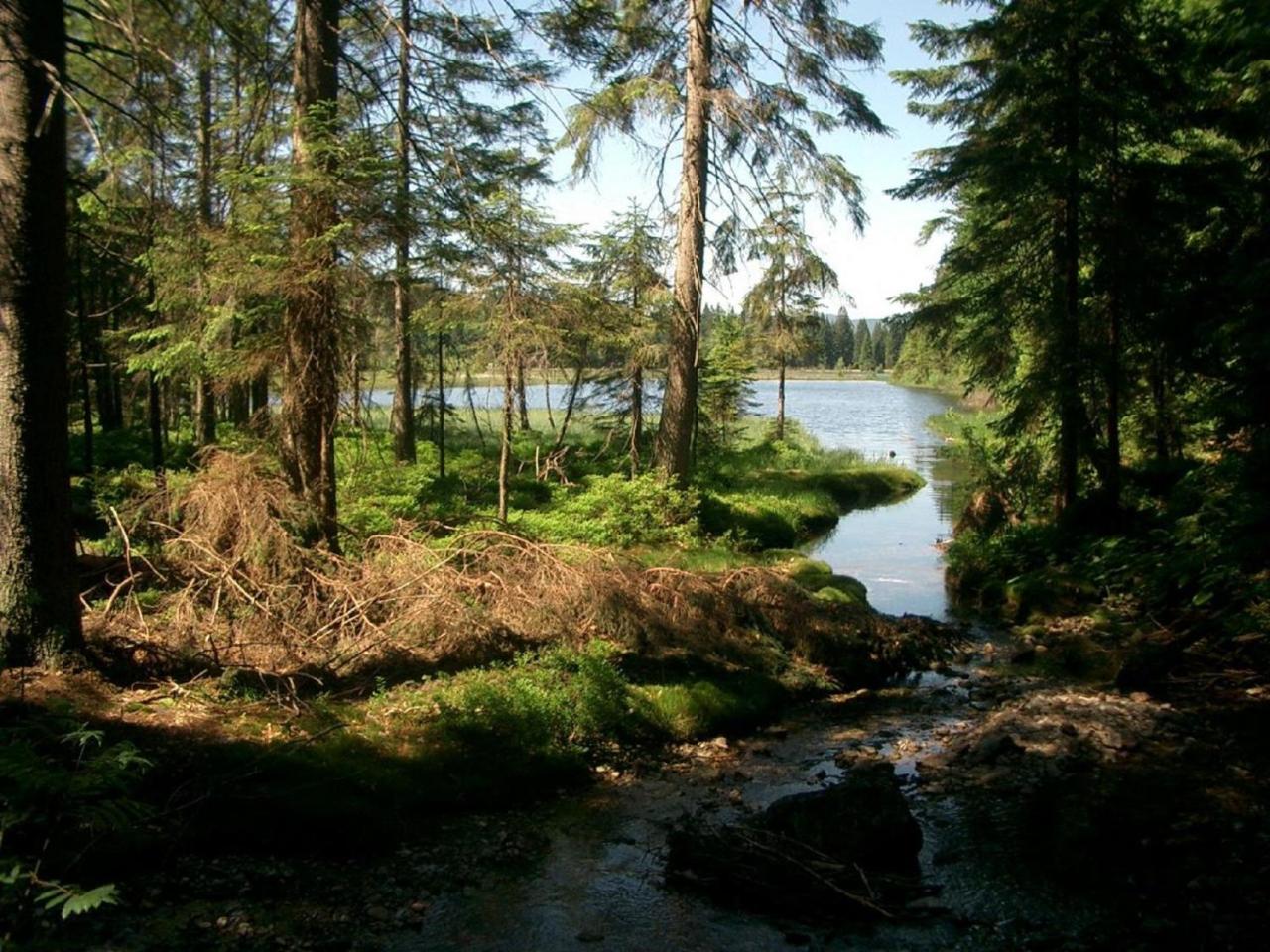 Langdorf  Ferienhof Ellerbeck المظهر الخارجي الصورة